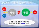 문학개론-돌에 짓눌린 잡초  37페이지