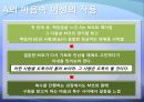 문학개론-돌에 짓눌린 잡초  45페이지