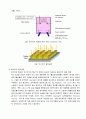 OLED 공정 7페이지