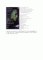 Head Line(Head Copy) 5페이지