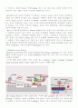 PDP의 재료기술 5페이지
