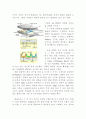 디스플레이기초공학-PDP의구조와특징 4페이지
