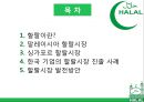 ★ 국제통상학원론 - 동남아시아 이슬람시장 ( 할랄, 말레이시아 할랄시장, 싱가포르 할랄시장, 한국 기업의 할랄시장 진출 사례, 할랄시장 발전방안 ) 2페이지