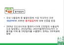 ★ 국제통상학원론 - 동남아시아 이슬람시장 ( 할랄, 말레이시아 할랄시장, 싱가포르 할랄시장, 한국 기업의 할랄시장 진출 사례, 할랄시장 발전방안 ) 36페이지