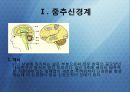 Aneurysm Clipping 3페이지