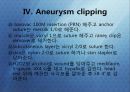 Aneurysm Clipping 25페이지