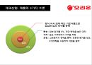 제과산업의 메가트렌드와 오리온의 경영전략 분석 27페이지