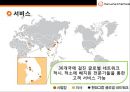 한화케미칼 [Hanwha Chemical]경영전략 20페이지