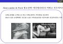아베크롬비 & 피치 [Abercombie & Fitch]위기극복 경영전략(한국진출,매장,브랜드 마케팅,상품 전략) 16페이지