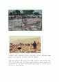 견학 보고서 - 난지 월드컵공원 환경교실 4페이지