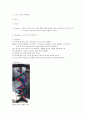 실험보고서 - DNA 모형제작 1페이지