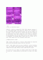 실험보고서 - 배지에 식물 종자 이식하기 2페이지