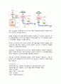 실험보고서 - 효모의 관찰 5페이지