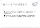 엔코더 보고서 PPT 5페이지