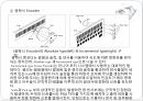 엔코더 보고서 PPT 14페이지