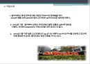 마윈 회장의 성공비결 PPT 3페이지