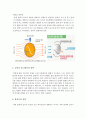 양력의 발생원리 4페이지