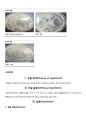 1.박테리아의 동정(Gram stain)7.담수조류의 관찰13.원생동물 및 곰팡이의 관찰 3페이지