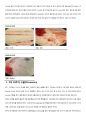 1.박테리아의 동정(Gram stain)7.담수조류의 관찰13.원생동물 및 곰팡이의 관찰 5페이지