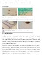 1.박테리아의 동정(Gram stain)7.담수조류의 관찰13.원생동물 및 곰팡이의 관찰 18페이지