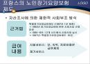 [노인건강문제관리] 해외노인장기요양보험제도 29페이지