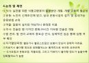 [노인건강문제관리] 노인 치료지시이행, 노인 치료지시이행 관련 논문 12페이지