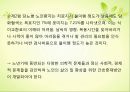 [노인건강문제관리] 노인 치료지시이행, 노인 치료지시이행 관련 논문 13페이지