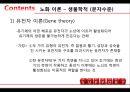 [노인건강문제관리]노화이론, 노화의 개념, 노화의 이론, 성공적 노화 9페이지