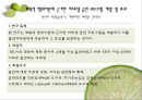 [건강증진이론] 계획적 행위이론 10페이지