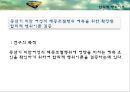 [건강증진이론] 합리적 행위이론 13페이지