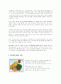 베트남 음식문화  6페이지