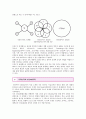 [STEAM 교육] STEAM교육(융합인재교육)의 사례 ; STEAM 교육의 필요성과 내용 분석 10페이지