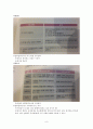 멀티 플라이어 8페이지