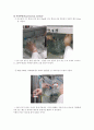 니트로벤젠의 합성 실험 레포트 8페이지