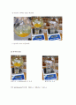 니트로벤젠의 합성 실험 레포트 12페이지