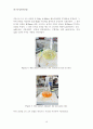 산가, 비누화가 측정 실험보고서 10페이지