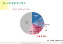 열 교환 도료 29페이지