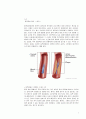 동맥경화증, Arteriosclerosis, 의학용어 5페이지