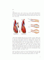동맥경화증, Arteriosclerosis, 의학용어 12페이지