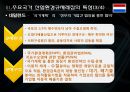 산업환경규제레짐의 유형과 특성 [연구배경, 비교연구를 위한 분석모형, 주요국가 산업환경규제레짐의 특성, 산업관련 환경규제레짐 비교분석] 10페이지