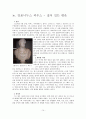 5현제는 누구인가 [출현 배경 및 당시 로마의 상황, 국제적 정세, 네르바 - 혼란의 종식, 트라야누스 - 지고의 황제, 하드리아누스 - 로마 평화와 제국의 영원, 안토니누스 피우스 15페이지