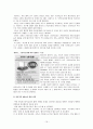다국적기업론 - 다임러크라이슬러 19페이지
