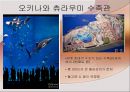 일본의 대중문화  21페이지