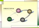유통경로의 기초개념  4페이지
