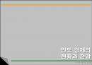 인도의 경제  9페이지