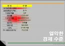 인도의 경제  12페이지