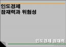 인도의 경제  28페이지