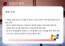 입양  14페이지