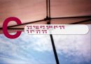 입양  16페이지