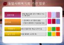입양  21페이지